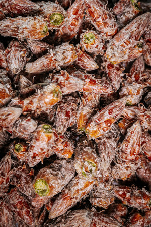 Pine buds healthy diet. A pile of pine budsの写真素材
