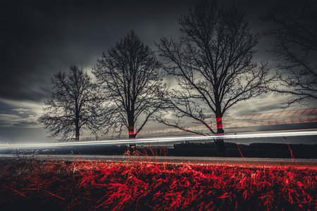 Long exposure of car light trails on the road with trees and grassの写真素材