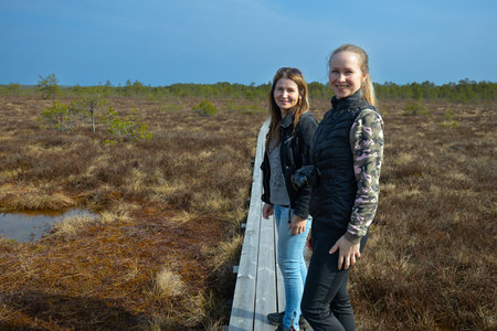 Two young women standing on a wooden walkway in the swamp.の写真素材