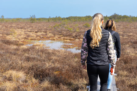Two young women walking on a trail in the bog in autumn.の写真素材