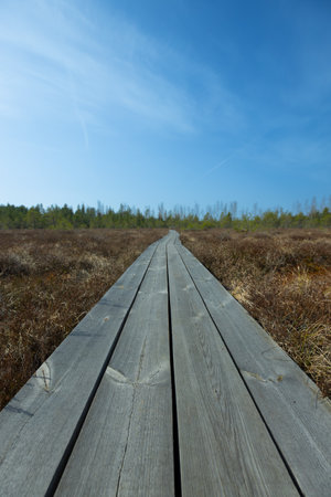 Wooden walkway in the bog with blue sky. Nature backgroundの写真素材