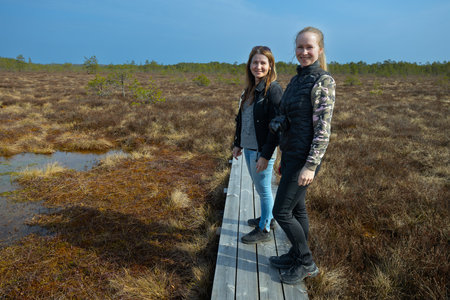 Two young women standing on a wooden boardwalk in a swamp.の写真素材