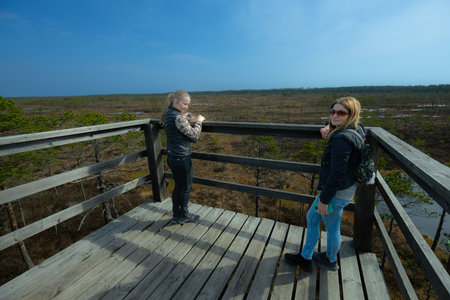 Mother and son on a wooden walkway in Everglades National Park, Floridaの写真素材