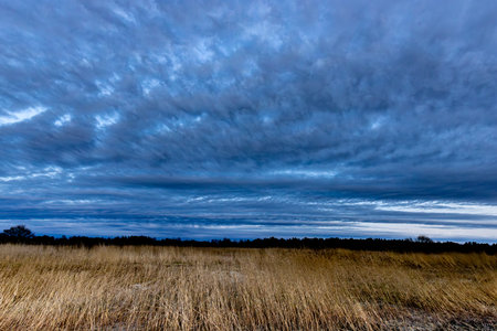 Dramatic sky with stormy clouds over the meadow.の写真素材