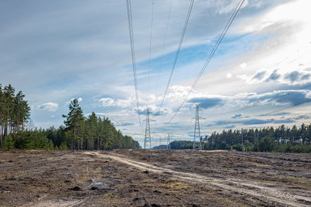 Power line on the background of the forest and blue sky with cloudsの写真素材