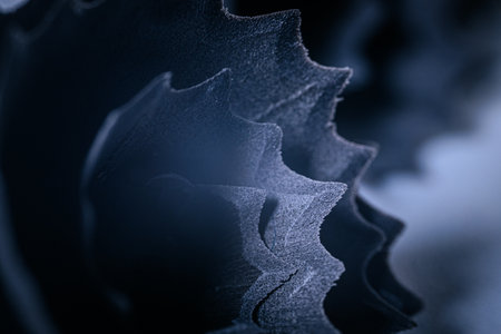 Macro photo of succulent plant, dark blue toned.の写真素材