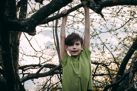 Little boy playing on a tree in the park. Kid having fun outdoors.の写真素材