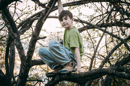 A boy sits on a tree branch and looks at the camera.の写真素材
