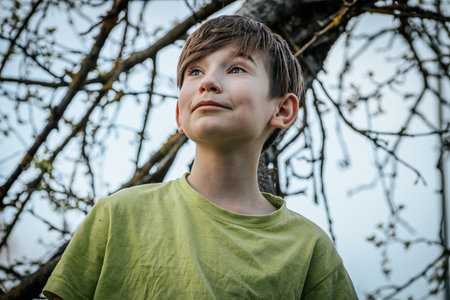 Portrait of a boy in the park on a background of treesの写真素材