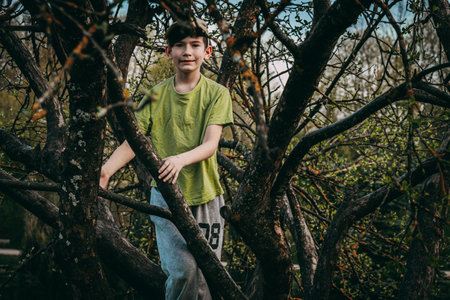 A boy in a green T-shirt and jeans stands on the branches of an apple treeの写真素材