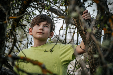 Portrait of a boy in a green t-shirt on the nature.の写真素材