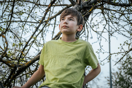 A boy in a green t-shirt sits on a tree branch.の写真素材