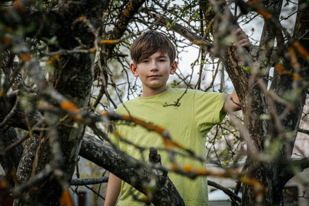 A boy in a green T-shirt stands near a tree.の写真素材