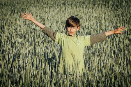 Child in wheat field. Boy in green shirt on wheat field.の写真素材