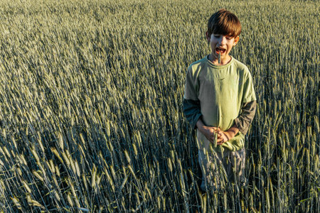 A young boy stands in a wheat field on a sunny day.の写真素材