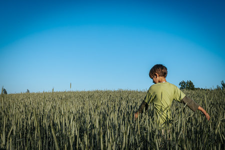 Young boy running in a wheat field on a sunny summer day.の写真素材