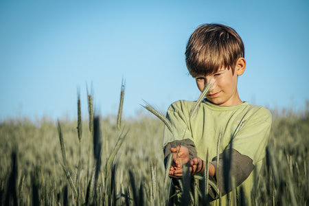 Portrait of a boy in a wheat field. Selective focus.の写真素材