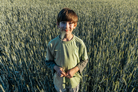Little boy standing in a wheat field and smiling at the camera.の写真素材