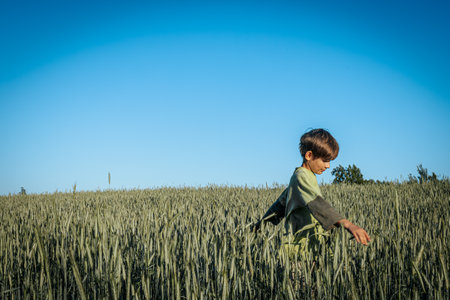 Little boy in a wheat field. Selective focus. nature.の写真素材