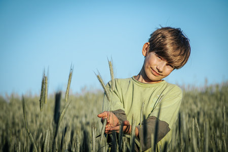Portrait of a boy in a wheat field on the background of blue skyの写真素材