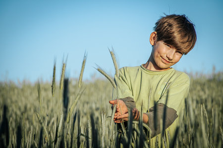 Cute boy in a wheat field. Selective focus. Kid.の写真素材