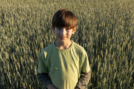 Portrait of a young boy in a wheat field at sunset.の写真素材