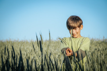 Happy child in wheat field. Selective focus on the boy.の写真素材