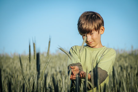 Portrait of a boy in a wheat field. Selective focus.の写真素材