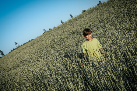 Little boy playing in a wheat field on a sunny summer day.の写真素材