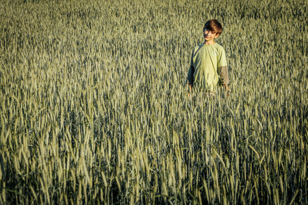 Young boy standing in a wheat field on a sunny summer day.の写真素材