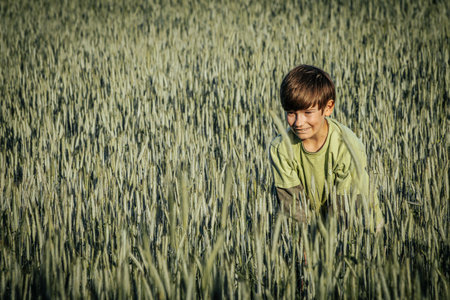 A boy in a wheat field on a summer day. Selective focus.の写真素材