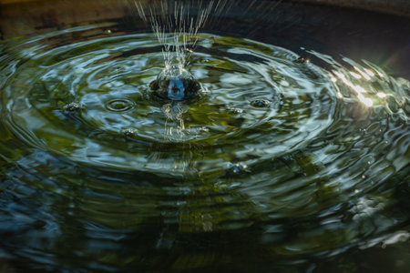 Falling drops of water. Splash effect after collision a falling drops with water Surfaceの写真素材