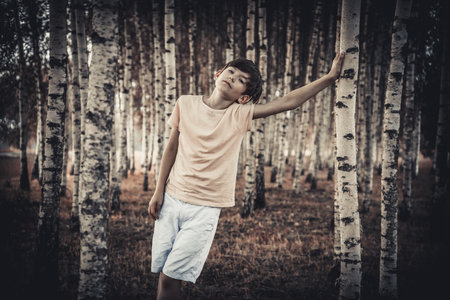 A boy in a yellow T-shirt and shorts stands in a birch grove.の写真素材