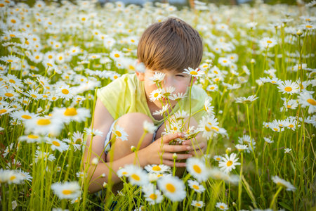Cute little boy playing with daisies in the meadowの写真素材