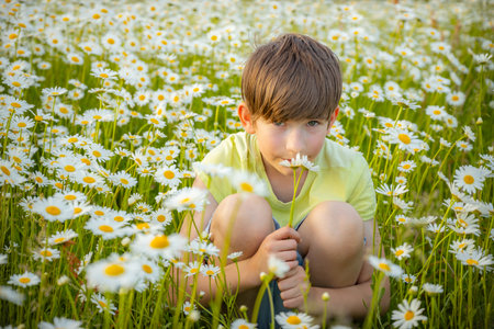 Cute little boy on camomile meadow in summer timeの写真素材