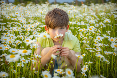 Cute little boy with daisies on the meadow.の写真素材