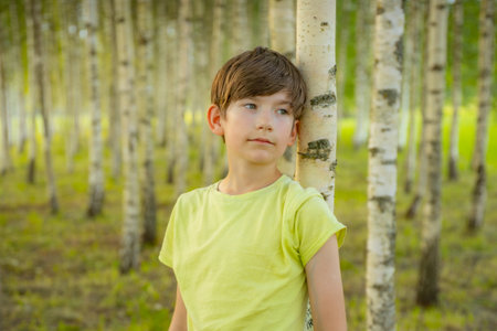 A boy in a yellow T-shirt stands in a birch groveの写真素材