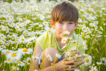 Cute little boy with daisy flowers in summer meadow.の写真素材