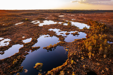Aerial view of the swamp at sunset. Beautiful autumn landscape.の写真素材