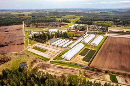 Aerial view of greenhouses in the middle of the forest.の写真素材