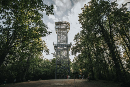 A vertical shot of a wooden lookout tower in the middle of the forestの写真素材
