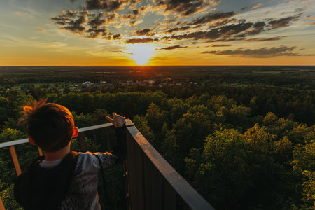 A girl looks at the sunset from the observation deck in the forest.の写真素材