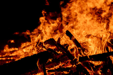 Burning firewood in the fireplace close-up on a black background