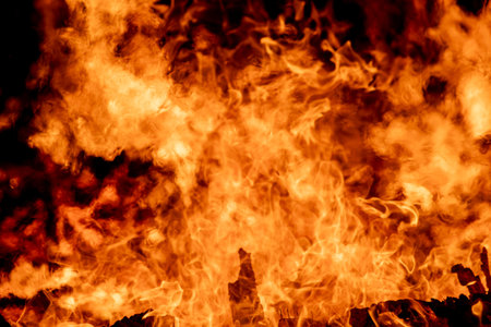 Fire flames on a black background. Texture of fire. Abstract background.の写真素材