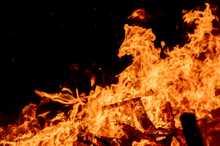 Fire flames on a black background. Fire flames isolated on black backgroundの写真素材