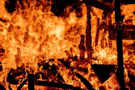 Burning fire close-up. Abstract background and texture for design.