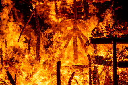 Burning fire in the forest, close-up of fire.の写真素材