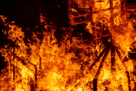 Fire flames on a black background, close-up, fire backgroundの写真素材