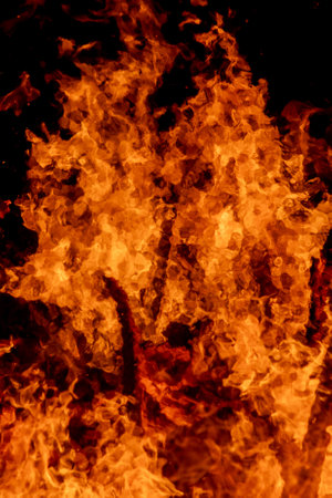Fire flames on a black background, close-up, fire texture