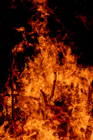 Fire flames on a black background. Flames of a bonfire.
